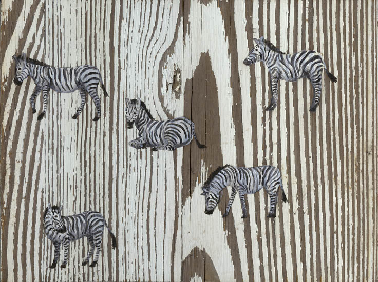 Oliver Wetterauer Zebras